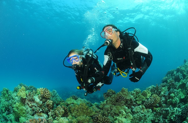 Central Coast Scuba Diving